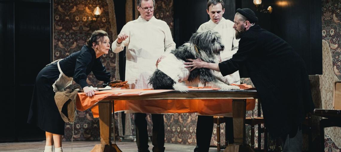 TheatreHD: Собачье сердце