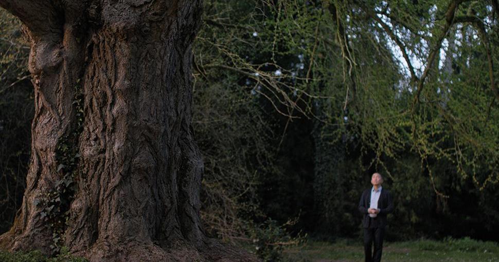 Молчаливый друг