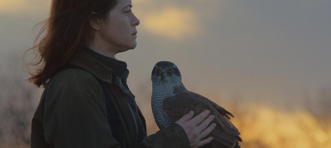 «Я» значит Ястреб