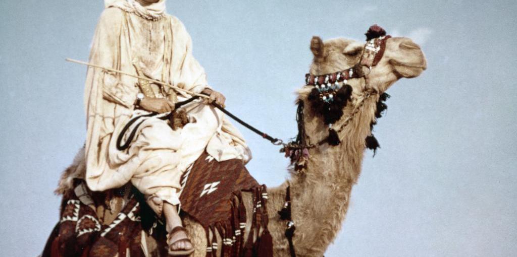 Лоуренс Аравийский