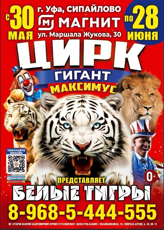 Цирк Максимус