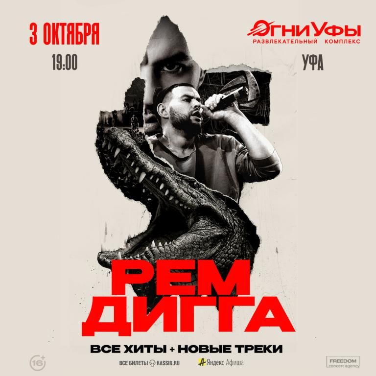 Концерт Рем Дигга