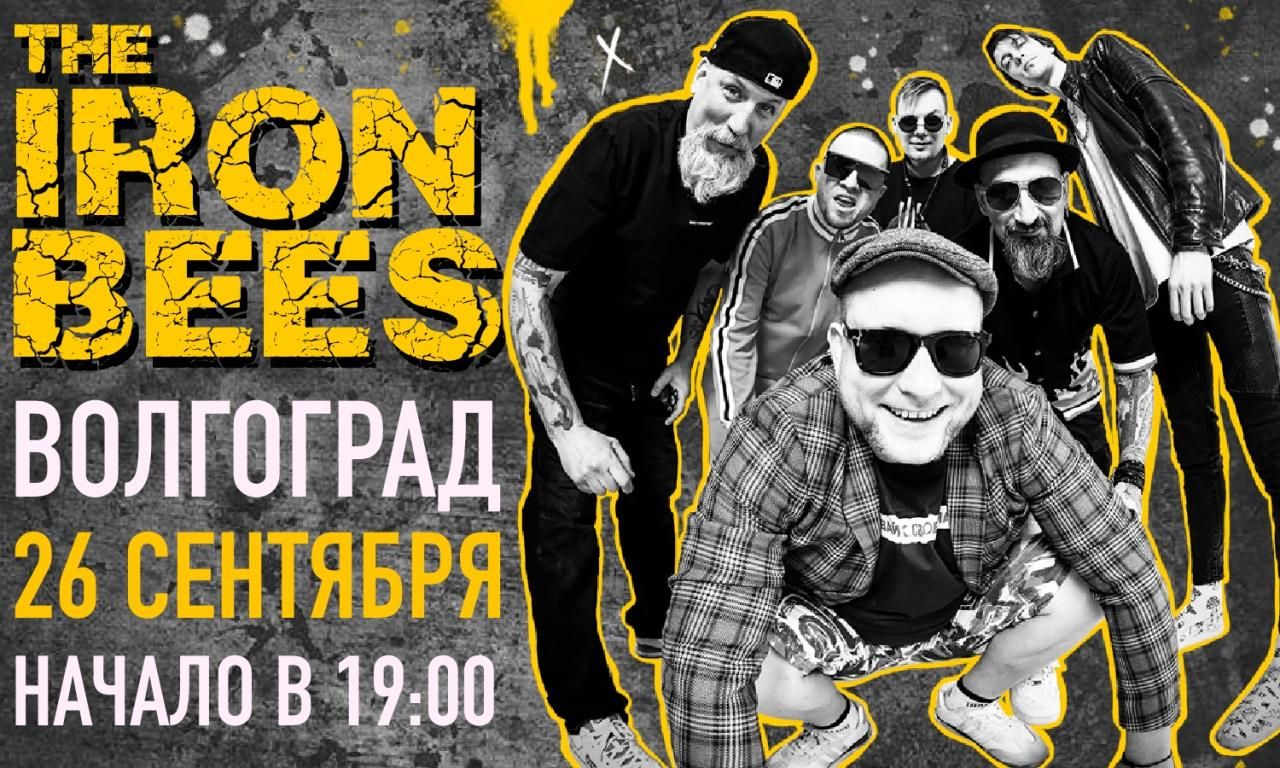 Концерт THE IRON BEES. 17-й день рождения