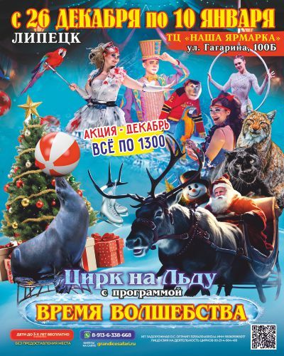 цирк на льду