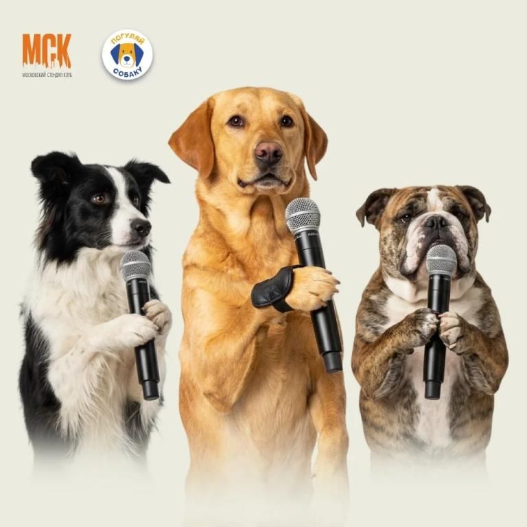 Благотворительный Stand Up концерт.