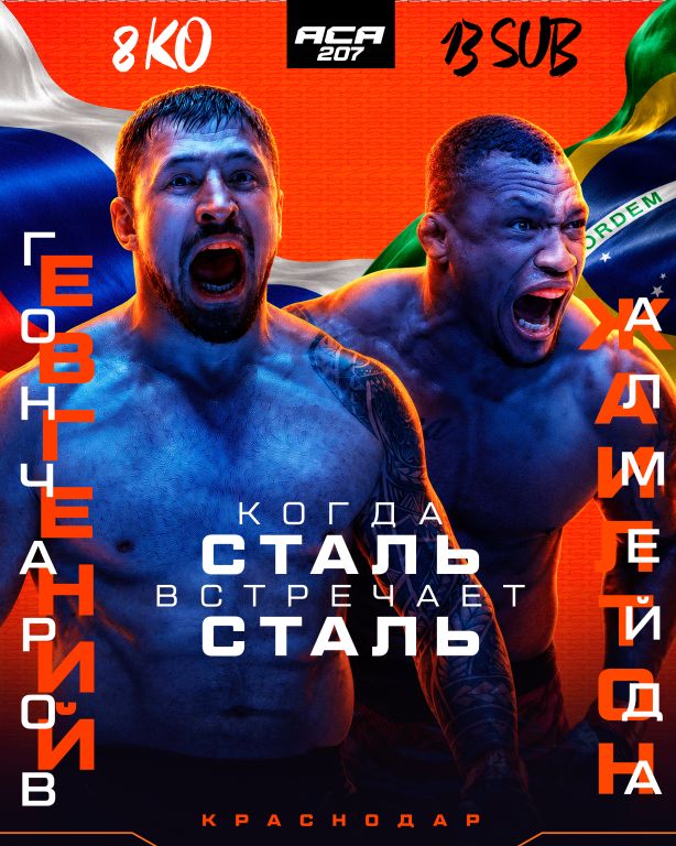 АСА 207