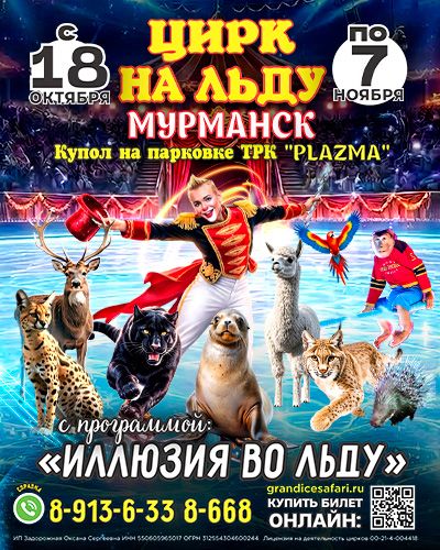 цирк на льду