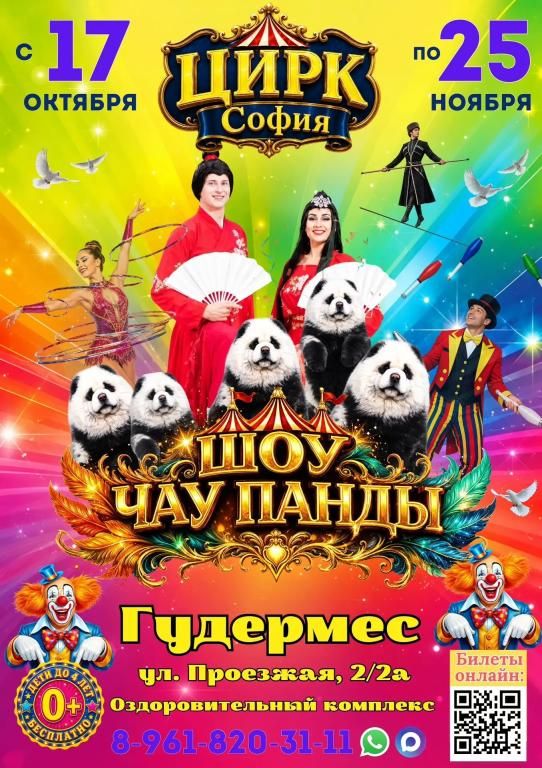 Цирк "Шоу Чау Панды" в г. Гудермес