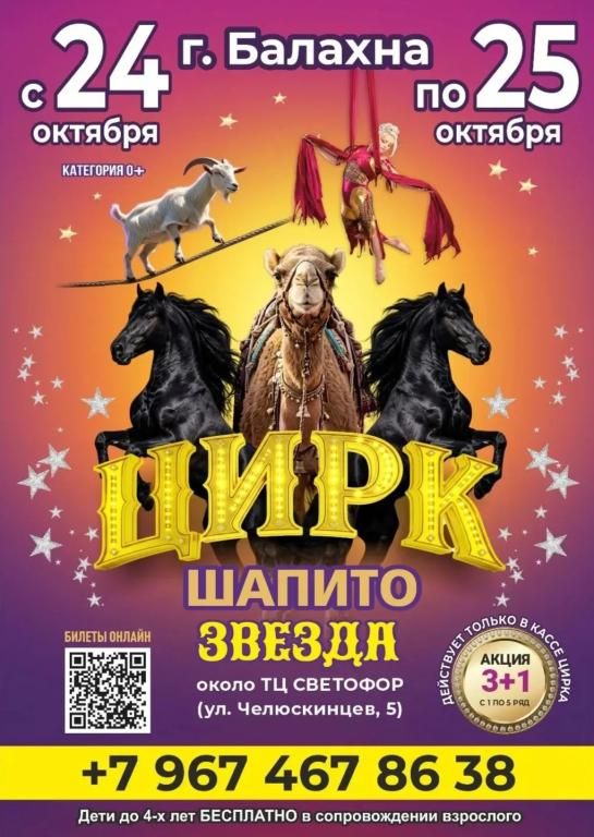 Цирк шапито "Звезда"