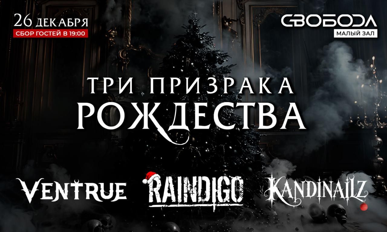 Raindigo, Ventrue, Kandinailz - Рожественский концерт