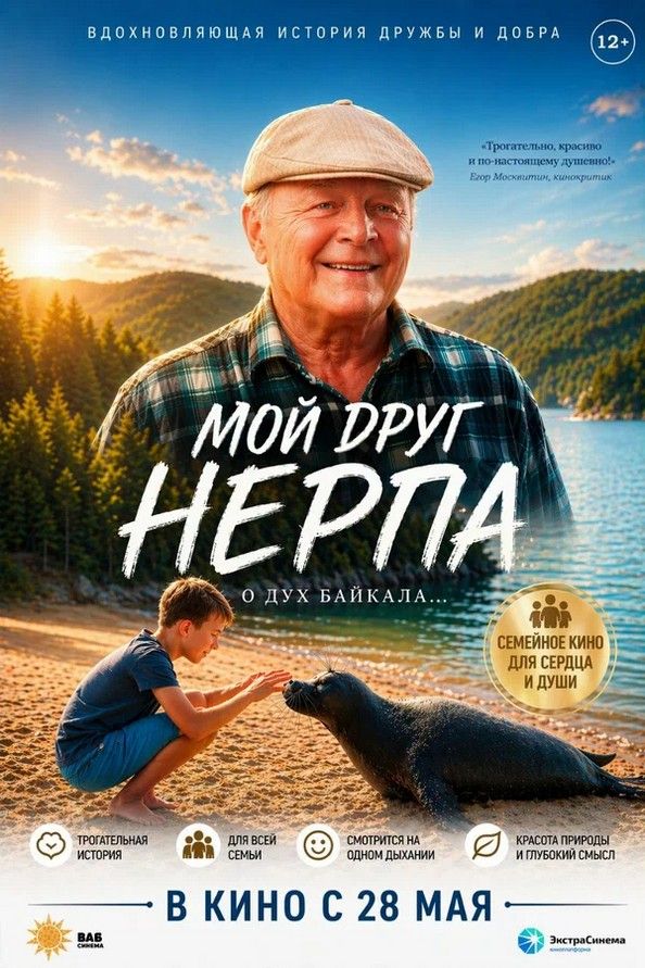 Мой друг нерпа
