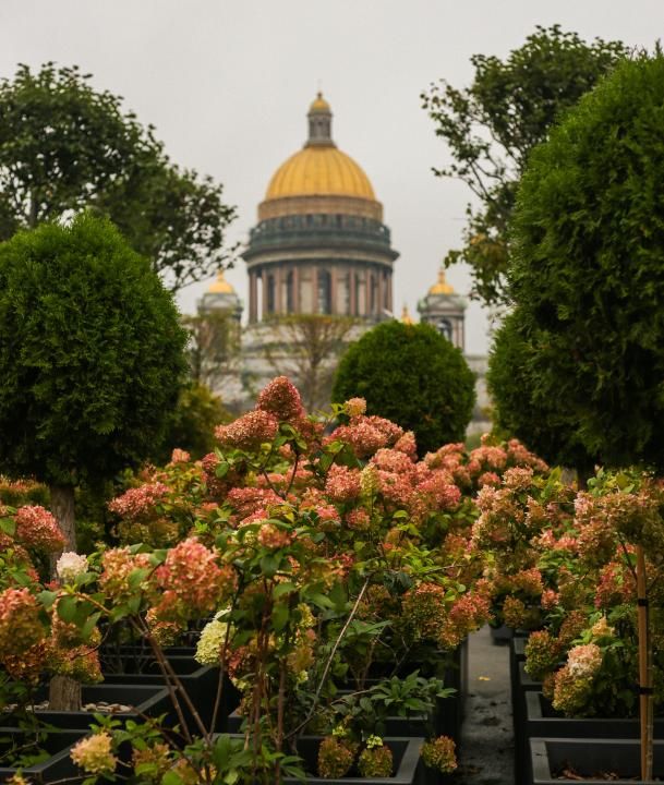 Фотопрогулка по центру Петербурга: дворы и парадные, легенды и крыша