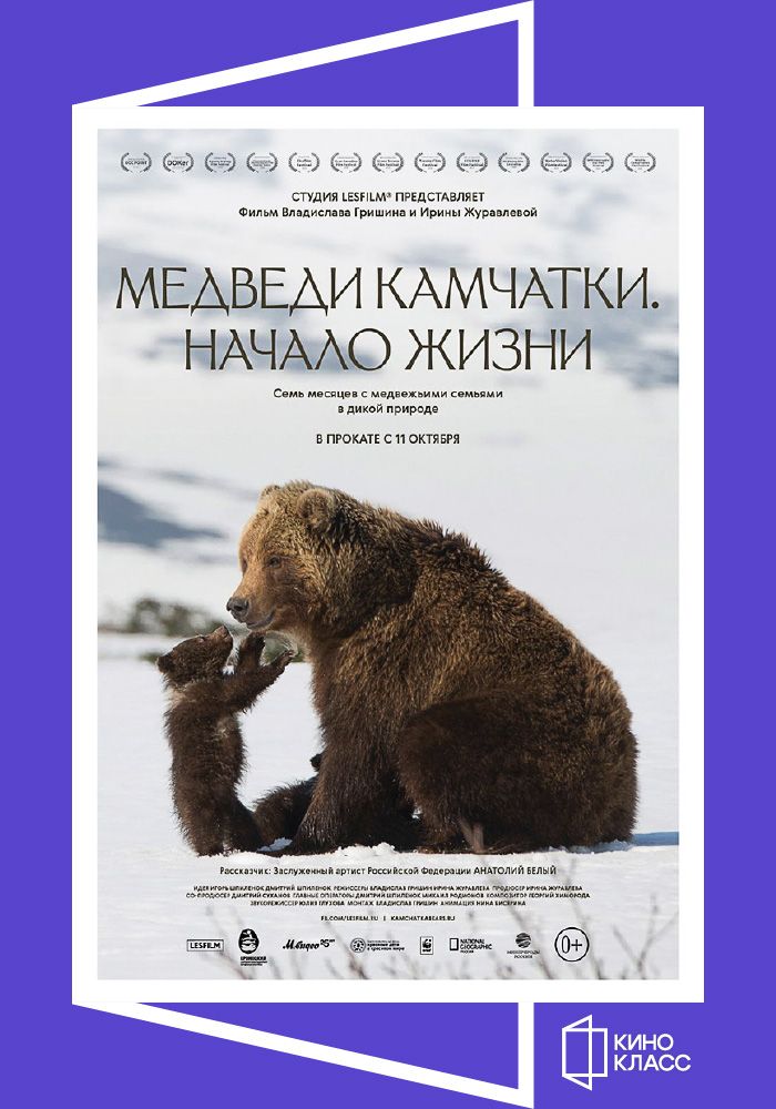 Медведи Камчатки. Начало жизни