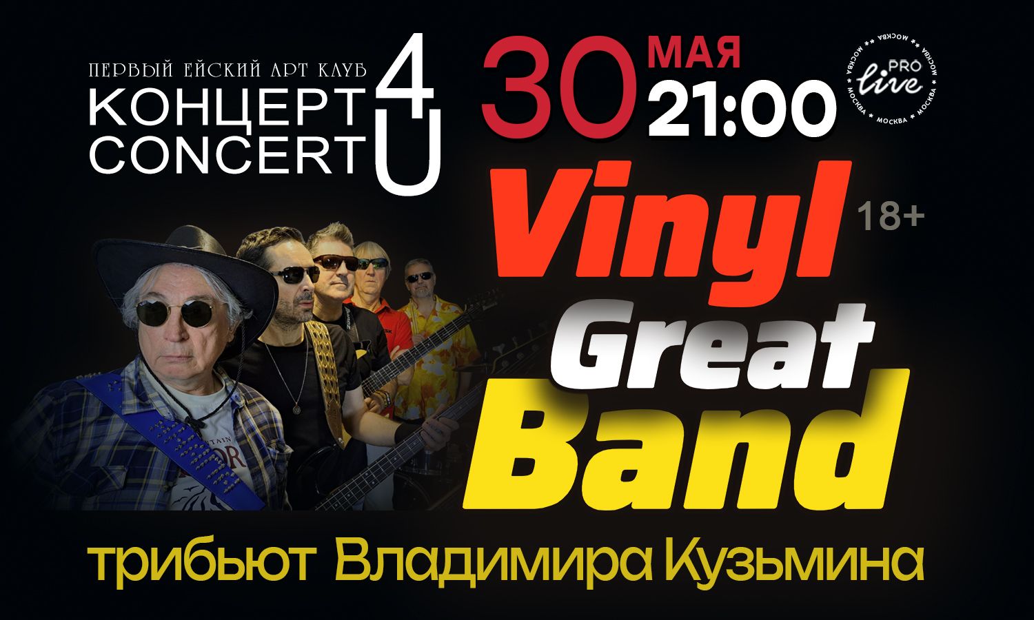 Группа "Vinyl Great Band"