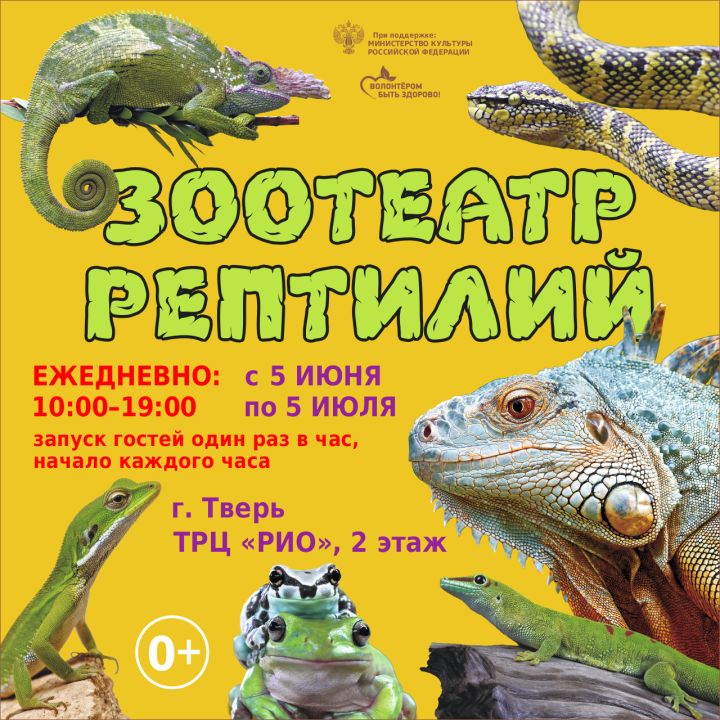 Зоотеатр  Рептилий