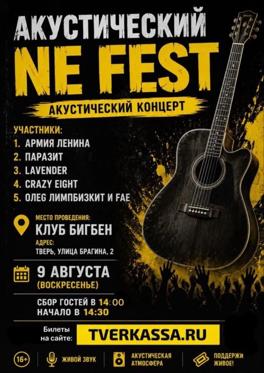 АКУСТИЧЕСКИЙ NE FEST