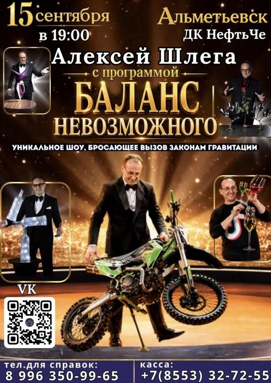Алексей Шлега с программой "Баланс Невозможного"