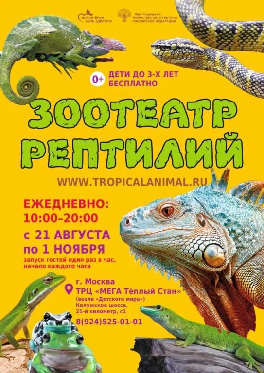 Зоотеатр Рептилий в г.Москва ТРЦ "МЕГА Теплый Стан"