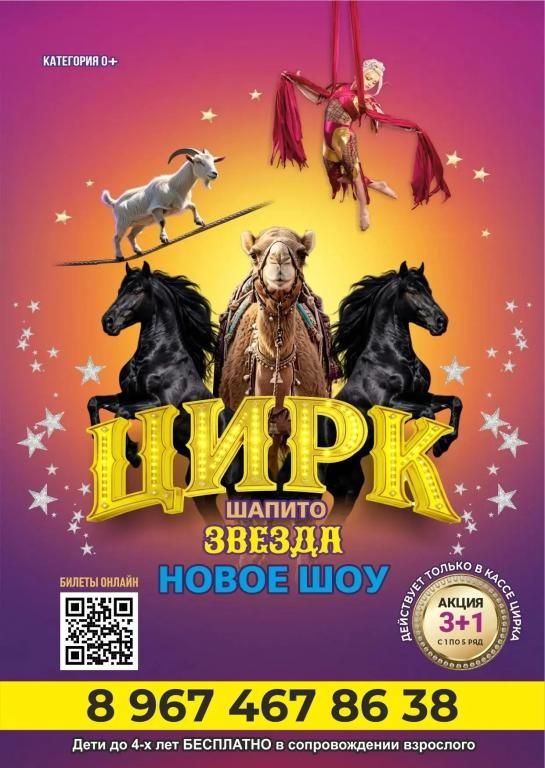 Цирк шапито "Звезда" в г. Заволжье