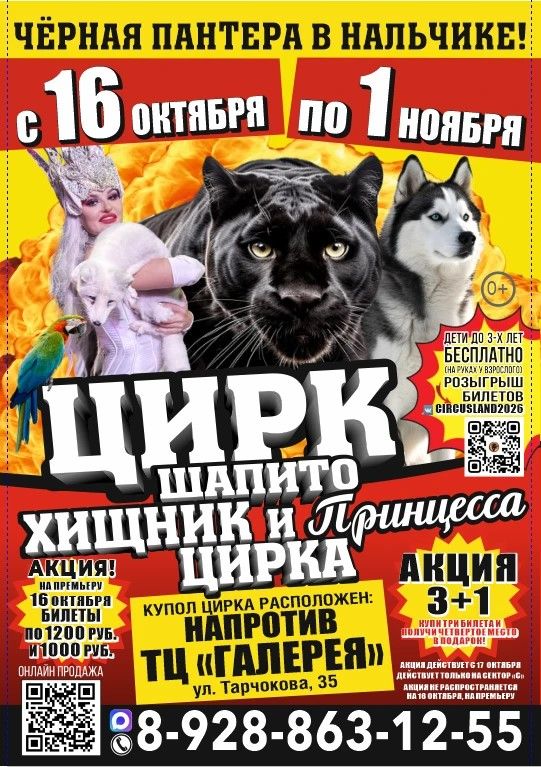 Цирк шапито "Хищник и принцесса цирка" в Нальчике