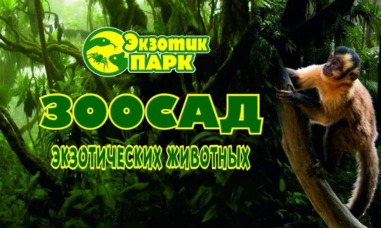 Зоосад "Экзотических животных" в Мариуполе