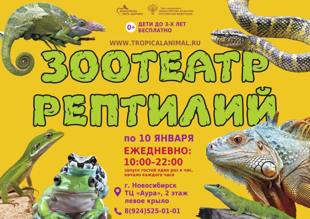 Зоотеатр Рептилий в г. Новосибирск