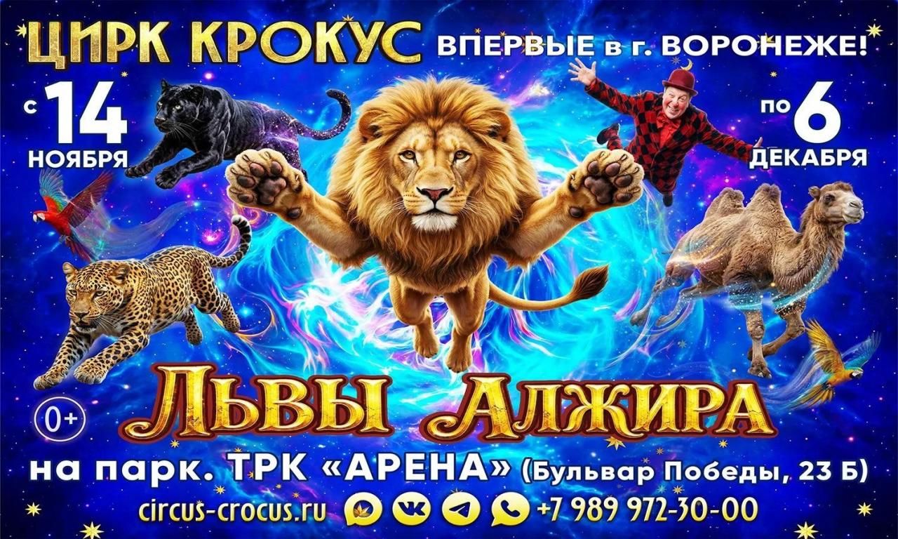 Цирк Крокус Воронеж