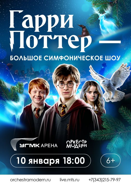 Гарри Поттер - большое симфоническое шоу